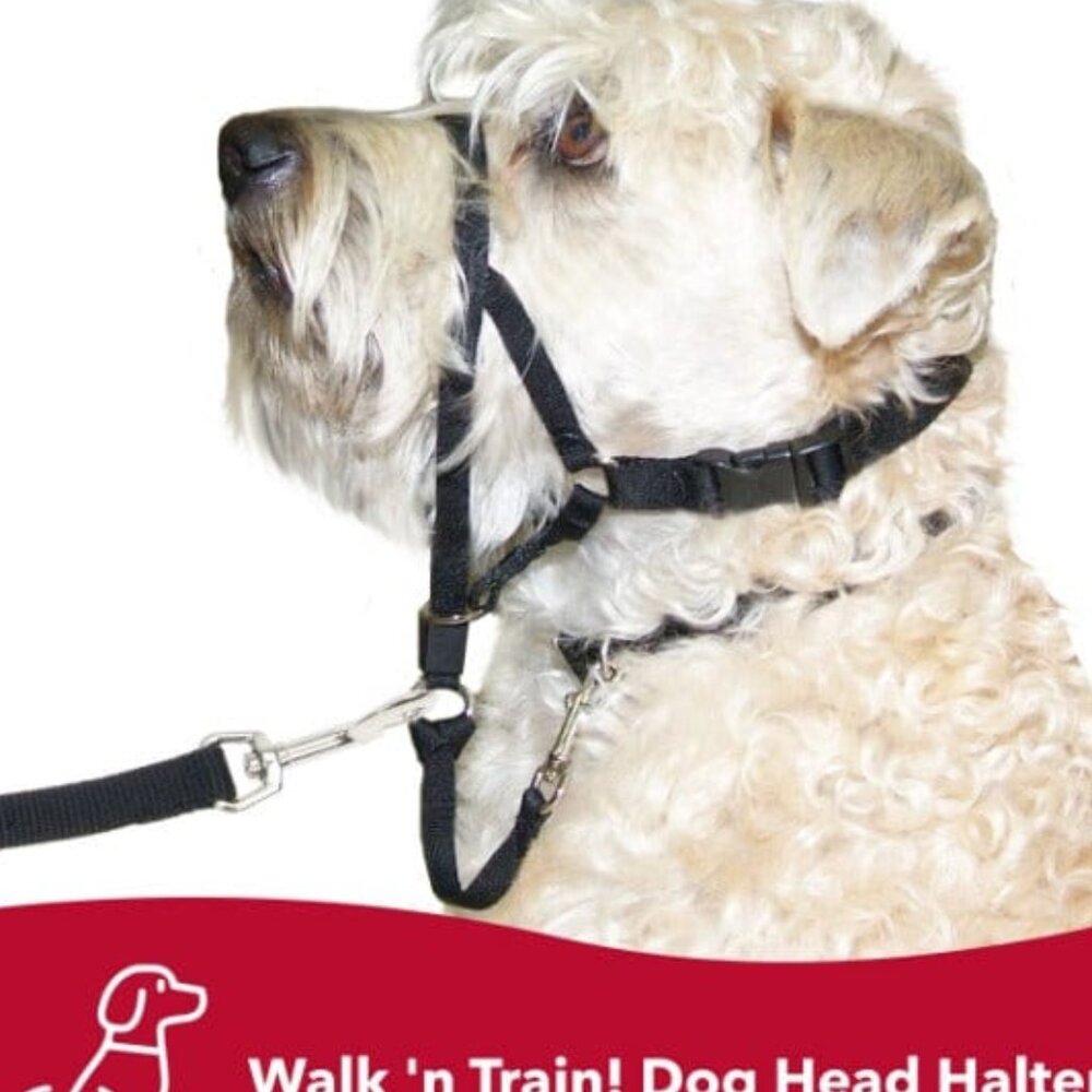 2/35$ NWT Walk 'n Train! Dog Head Halter small 13 to 17' inches